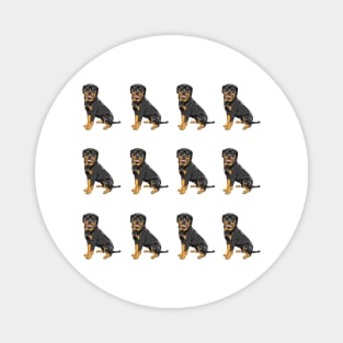 Rottweiler Dog Breed Pattern Magnet